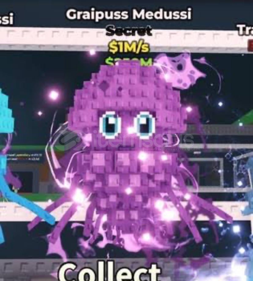 Graipuss medussi Graipuss medussi