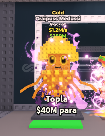 Graipuss Medussi Gold  Graipuss Medussi Gold