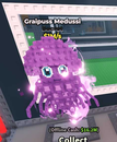GRAİPUSSİ MEDUSSİ UCUZA SATILIR
