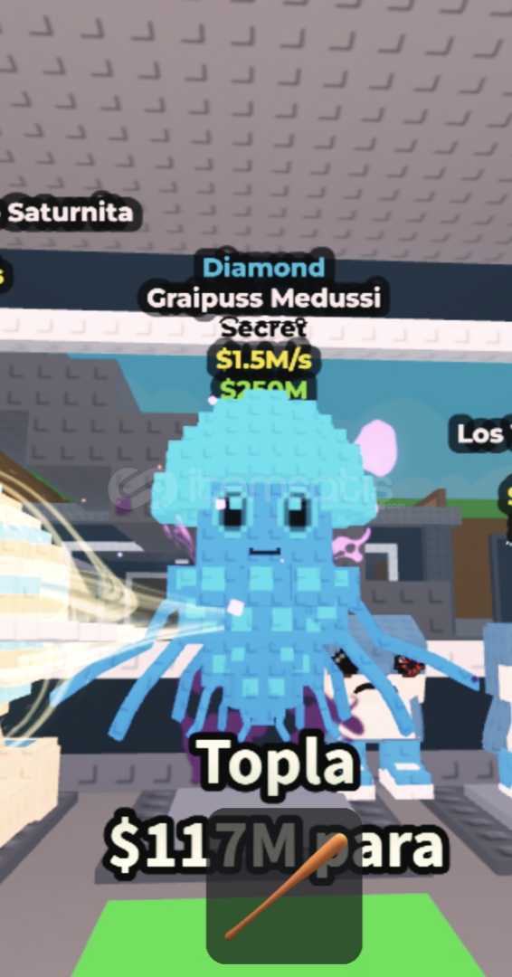 graipussi medussini (1.5m) graipussi medussini (1.5m)