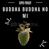 GPO - Buddha Fruit