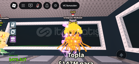 ✅ Grapis Medusa 5 M Gold✅