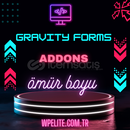 Gravity Forms + Addons (OTO TESLİM)
