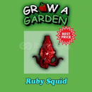 ⚡ GROW A GARDEN 1 ADET RUBY SQUİD ⚡ ⚡ GROW A GARDEN 1 ADET RUBY SQUİD ⚡