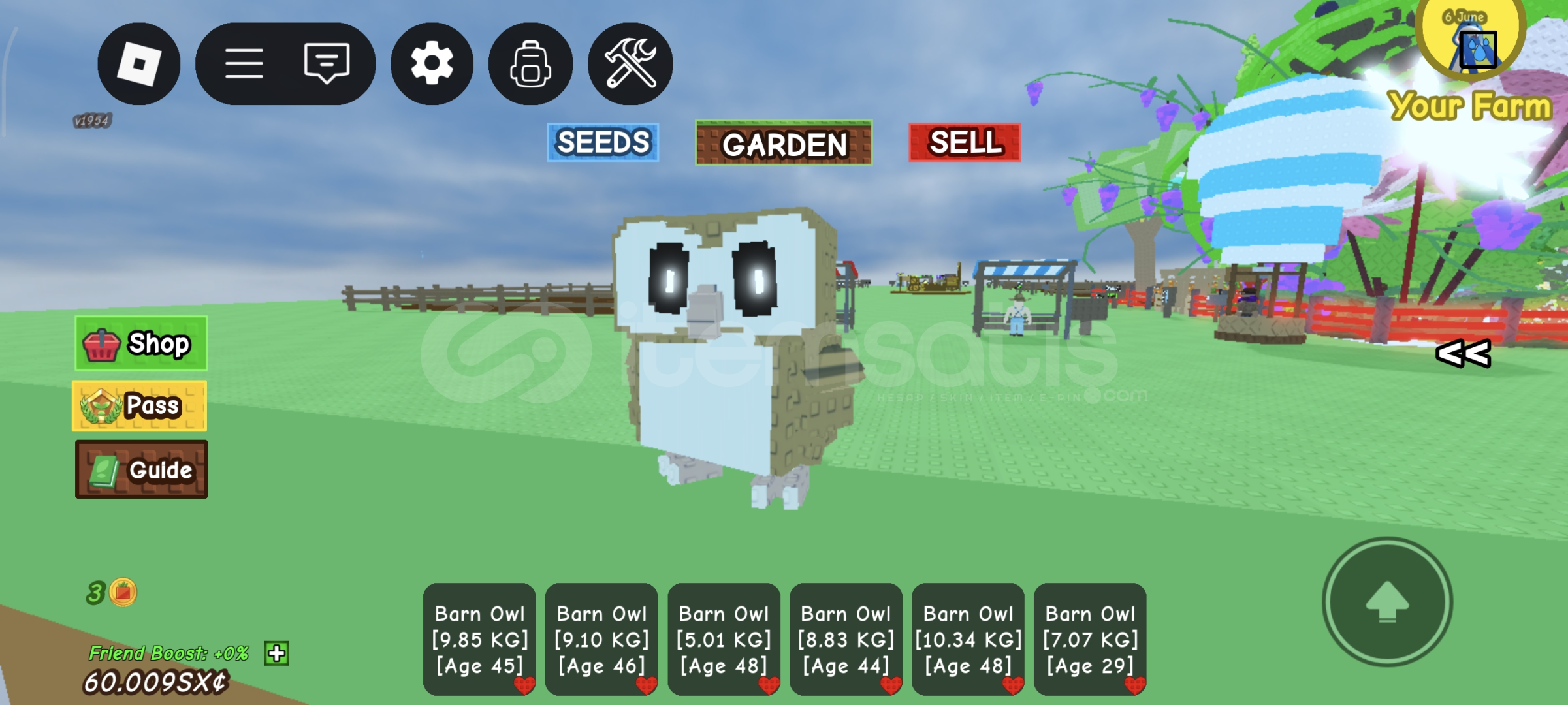 GROW A GARDEN 2X BARN OWL HIZLI TESLİM  GROW A GARDEN 2X BARN OWL HIZLI TESLİM