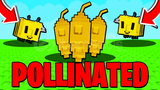 grow a garden 50 honey points (pollinated)