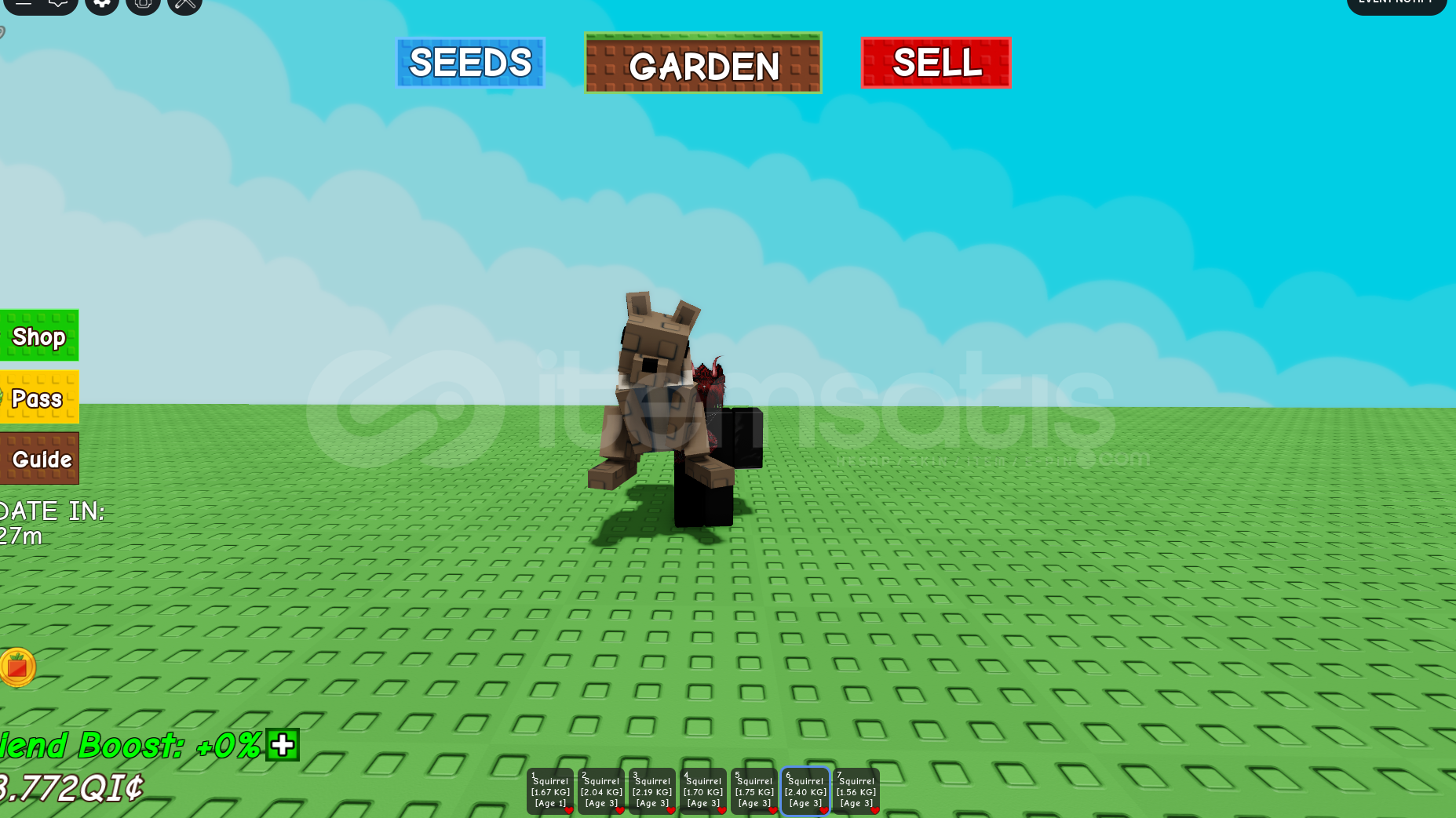 Grow A Garden 8 Adet Squirrel !!! Grow A Garden 8 Adet Squirrel !!!