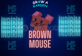 Grow A Garden Brown Mouse Pet