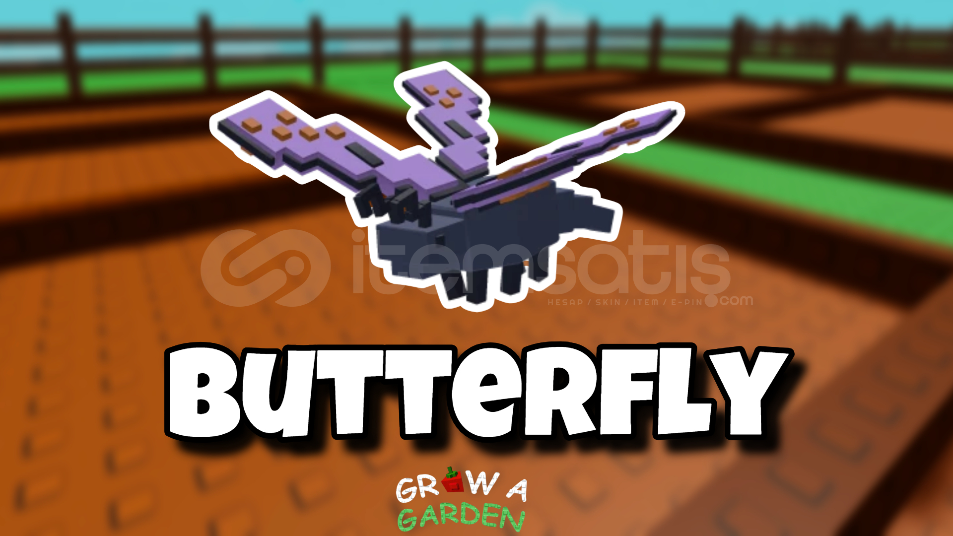 GROW A GARDEN BUTTERFLY GROW A GARDEN BUTTERFLY
