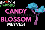 GROW A GARDEN CANDY BLOSSOM MEYVESİ