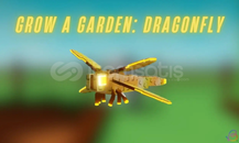  ⭐ Grow a Garden Dragon Fly