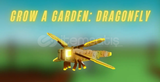 GROW A GARDEN DRAGONFLY