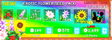Grow a Garden Exotic Flower Seed Pack x5