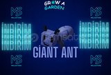 Grow A Garden Giant Ant Pet