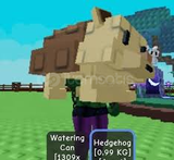 Grow a Garden Hedgehog