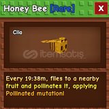 ⭐GROW A GARDEN | Honey Bee⭐