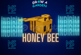 Grow A Garden Honey Bee Pet