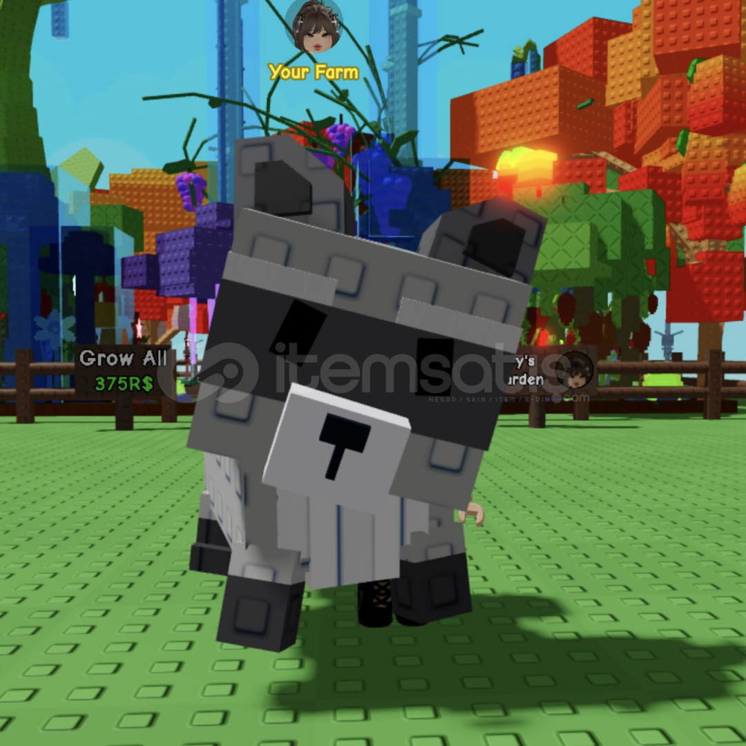 GROW A GARDEN MEGA RACCOON PİYASANIN EN UCUZU GROW A GARDEN MEGA RACCOON PİYASANIN EN UCUZU