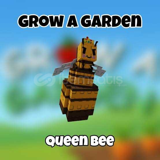 GROW A GARDEN PET queen bee GROW A GARDEN PET queen bee