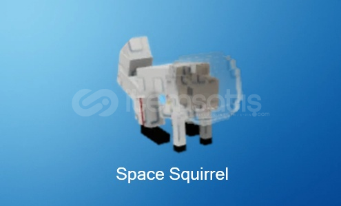 GROW A GARDEN PET SPACE squierel GROW A GARDEN PET SPACE squierel