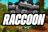 ⭐GROW A GARDEN RACCOON [PET]⭐