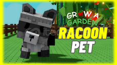 ⭐Grow A Garden Raccoon PET