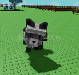 Grow a Garden Raccoon Peti