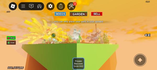GROW A GARDEN RACOON GROW A GARDEN RACOON