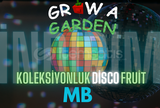 Grow A Garden Random Disco Fruit