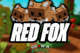 ⭐GROW A GARDEN RED FOX [PET]⭐