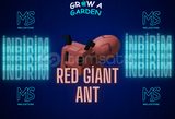 Grow A Garden Red Giant Ant 