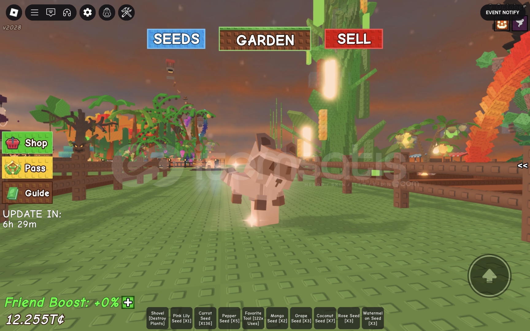 Grow a garden shiny racoon Grow a garden shiny racoon
