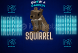 Grow A Garden Squirrel Pet