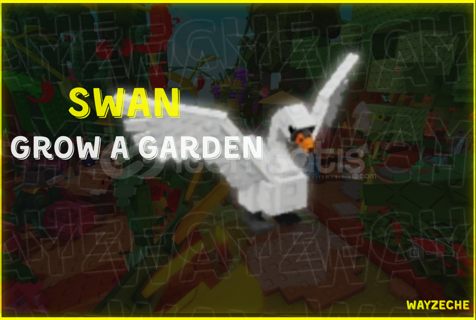 ⭐GROW A GARDEN SWAN 1 ADET⭐ ⭐GROW A GARDEN SWAN 1 ADET⭐