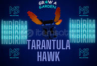 Grow A Garden Tarantula Pet