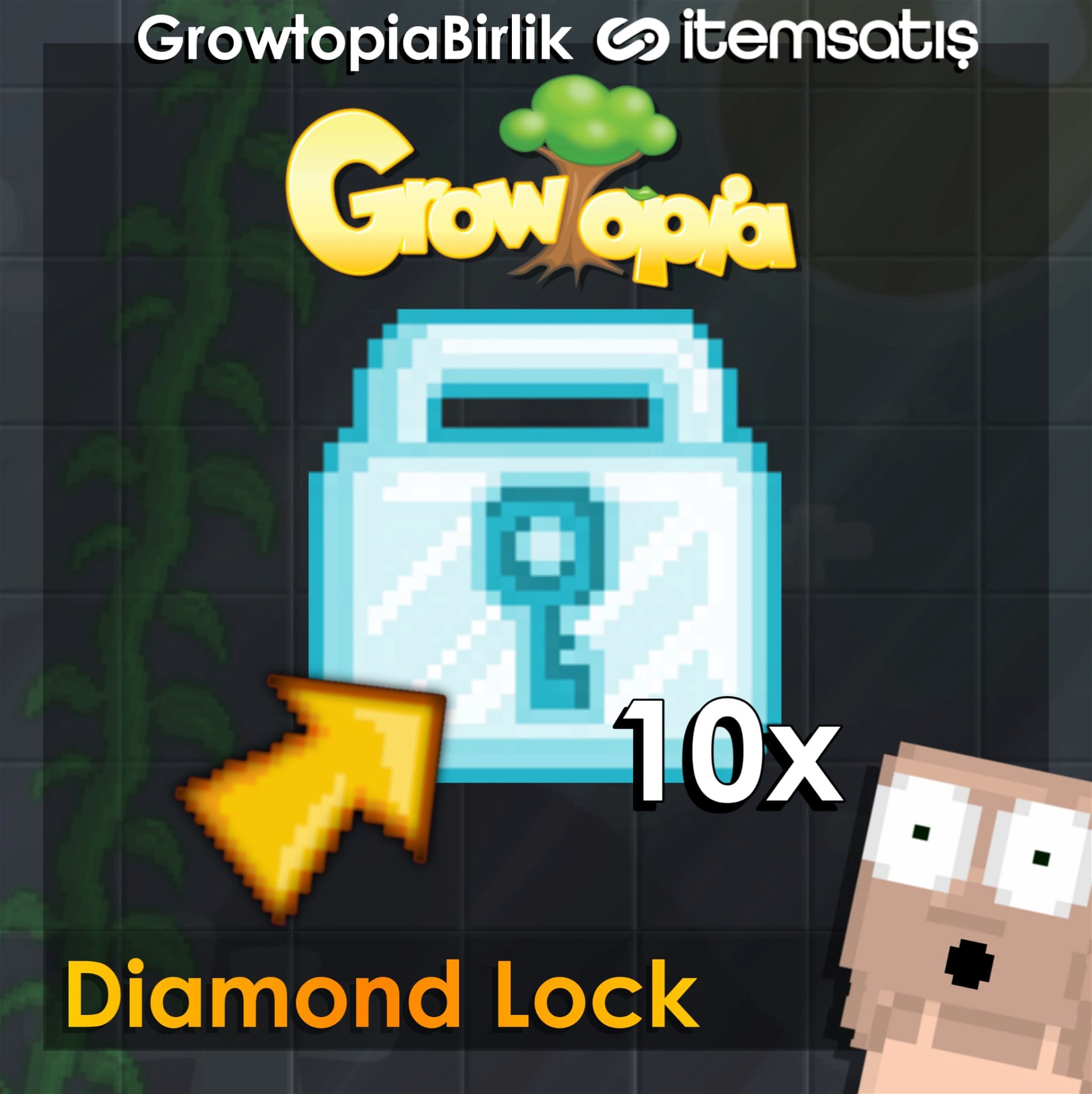 Growtopia 10 Diamond Lock ( Anlık Teslimat )