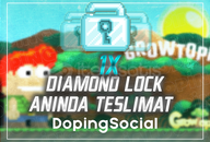 ⭐Growtopia 1X Diamond Lock⭐