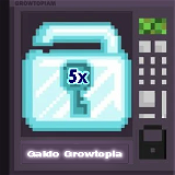 Growtopia 5 Diamond Lock ( 5DL ) Hızlı Teslimat