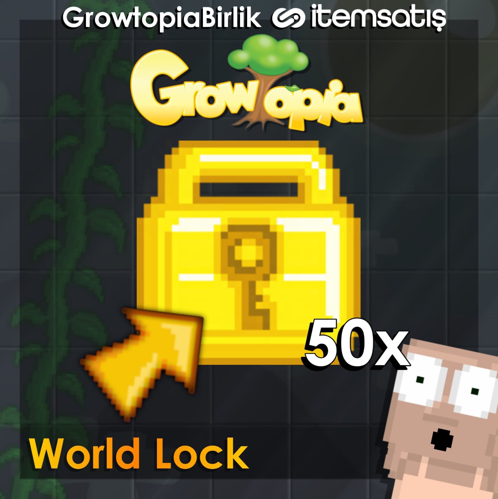Growtopia 50 World Lock ( Anlık Teslimat )