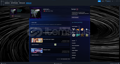 Gta 5 Rust 14Seviye Steam Hesap