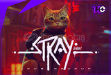 [Guardsız] Stray + Garanti