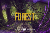 [Guardsız] The Forest + Garanti
