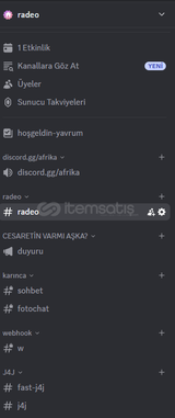 GUILD SUNUCUSU (HAZIRDA BOOSTU VAR)