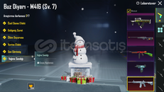 gül gibi buz 7 svy hesap