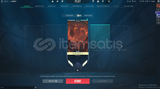 GÜMÜŞ 2 ULUPENCE VANDAL SHİRPUNK SHERRİF 