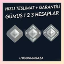 GÜMÜŞ HESAP TR SUNUCUSU GARANTİLİ