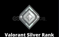 GÜMÜŞ/SİLVER 2 TR MAİLLİ YÜKSEK MMR