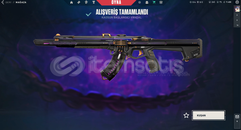 GURME SKİNLERLE DOLU UNRANKED HESAP