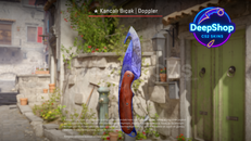 ★ Gut Knife | Doppler (Factory New) ★ Gut Knife | Doppler (Factory New)