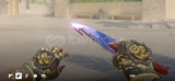 ★ Gut Knife | Doppler (Factory New) Phase 1